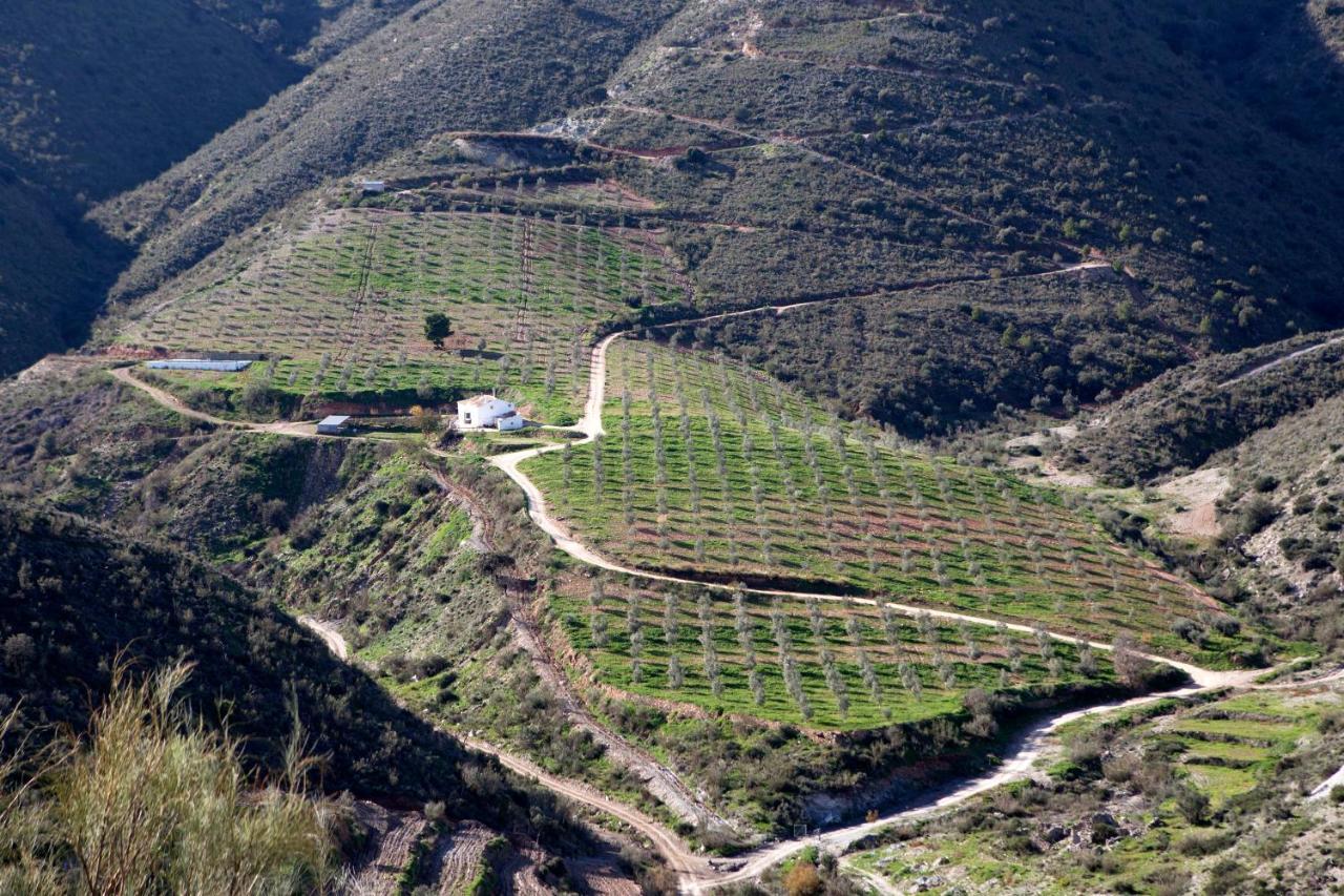 Cortijo El Rancho Albanchez Exterior foto