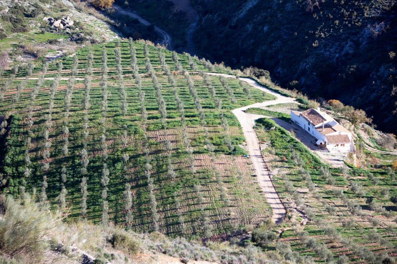 Cortijo El Rancho Albanchez Exterior foto